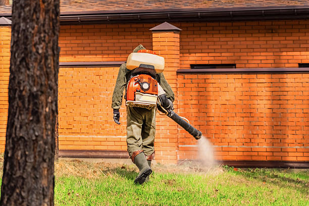 Trusted Mosquito Control service in Sugarcreek, PA - Nex Pest Control